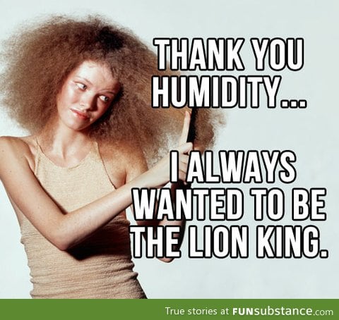 Thank you humidity