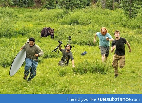 Wildlife photography gone wrong