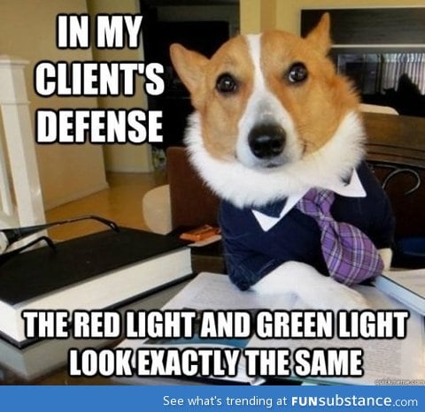 Attorney Dog