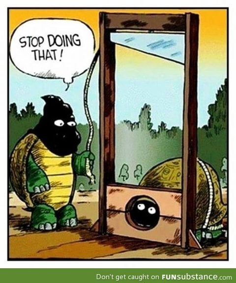 Turtle humor