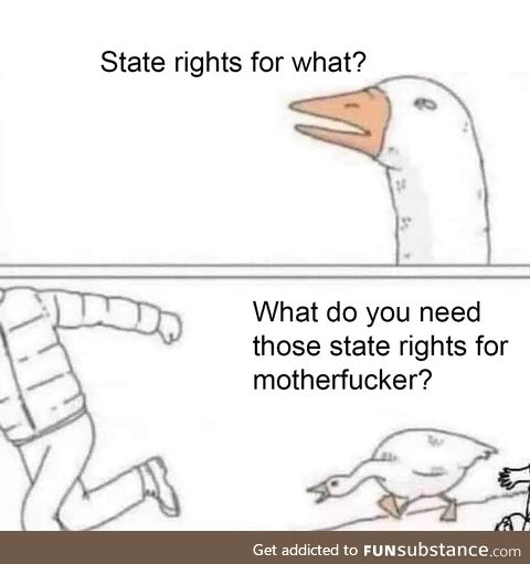 The Secession is for ... Uh. .. Uh.. State rights!