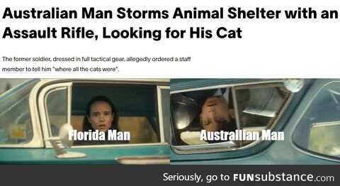 Found this Article While Looking for Cat Guns