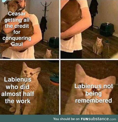 Labienus was Ceasar's right hand man and without him, Ceasar would've had a MUCH harder