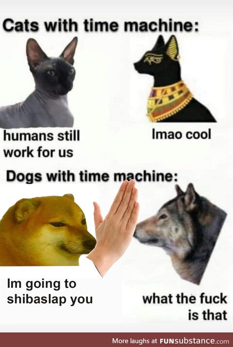 Doge evolution