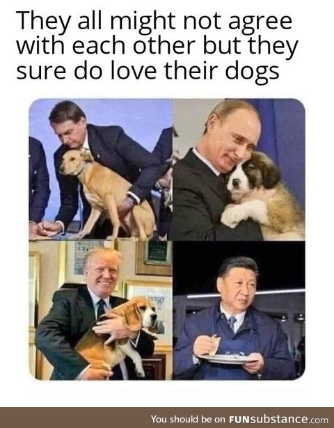 Dogs are life