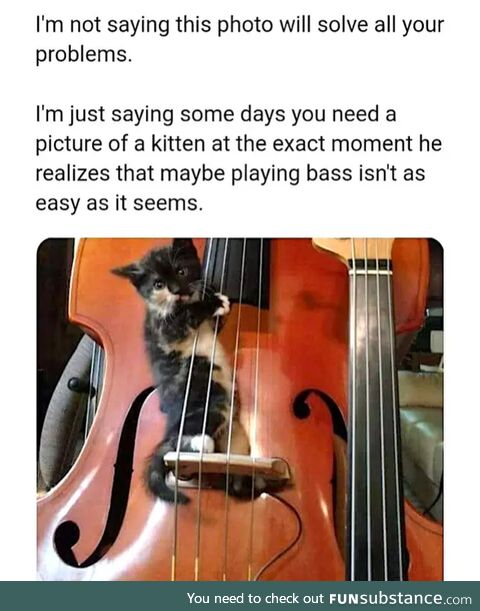 Me too, kitten.