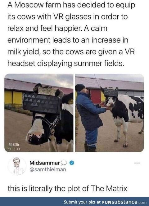 The future is now old cow