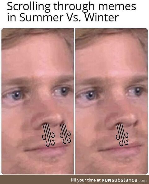 Scrolling through memes in Summer vs Winter