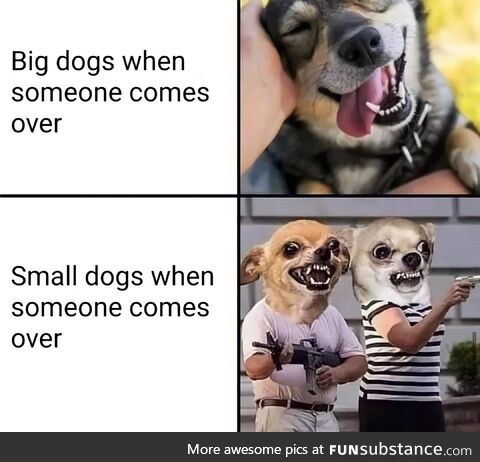 Big dogs vs Small dogs