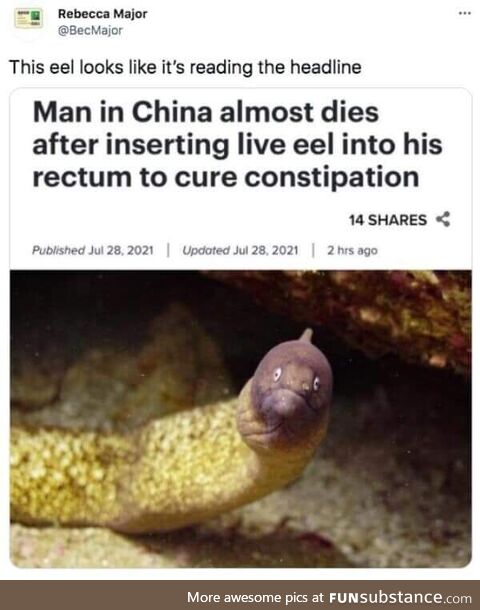 Eel be hurting a long time after that one