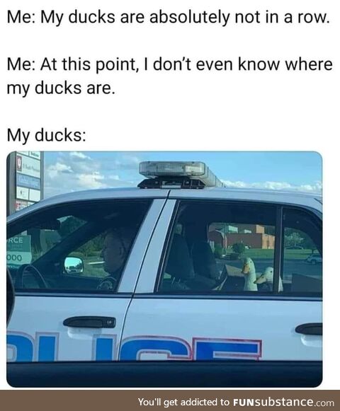 My duckies