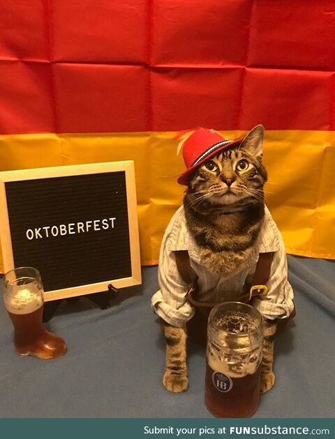 Caturday - What Was in That Beer?