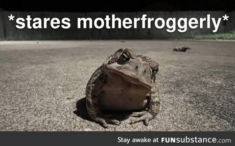 Froggos '23 #260 - The Stare