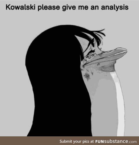 Kowalski plz