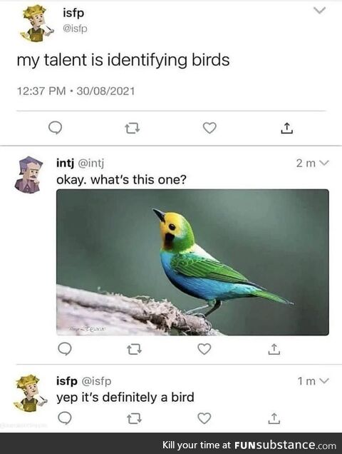 Definitely a bird