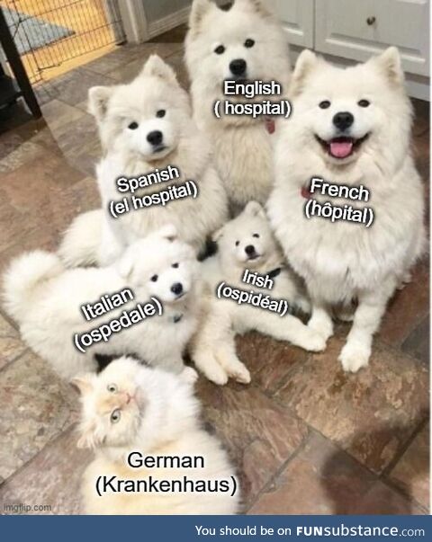 German vocabulary be like .