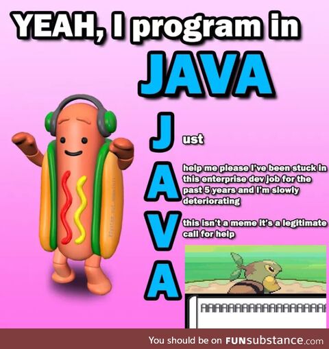 All letters in the Java meme have a meaning now