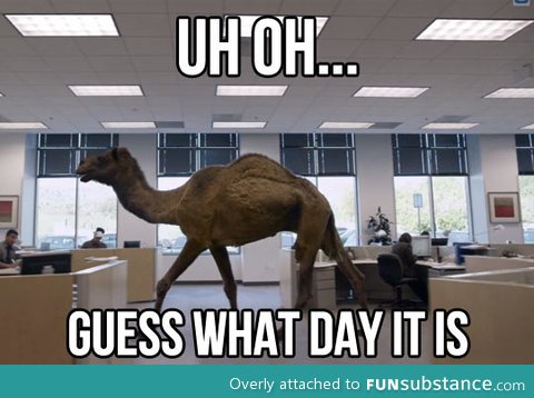 Guess what day it is