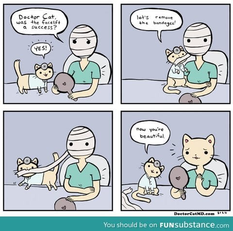 Doctor cat