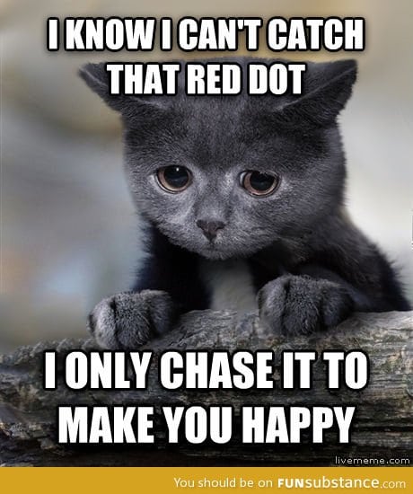 Confession cat and the red dot