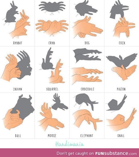 all of the hand puppets