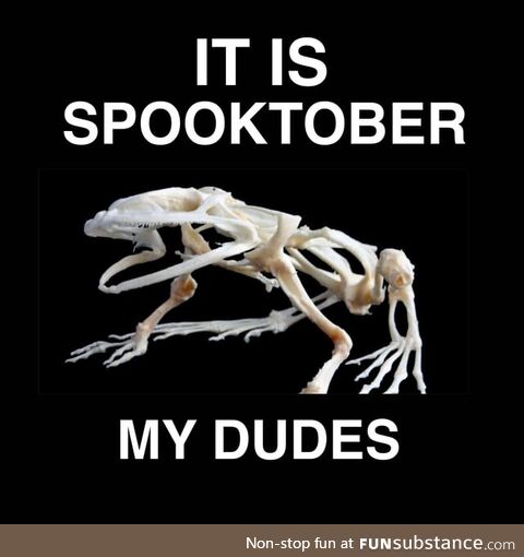 Froggos '23 #275/Spooktober Day 11 - The People Must Know