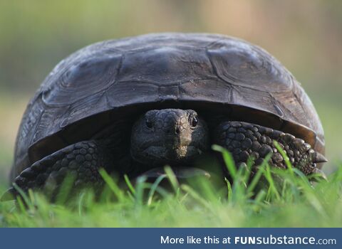 I was hiking with my camera and made a new friend. His name is Frank. I love Frank