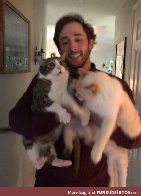 I attempted to take a pic with all 3 of my cats