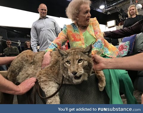 Betty White holding a cat