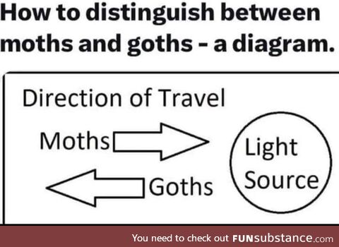 Moth/goth dichotomy