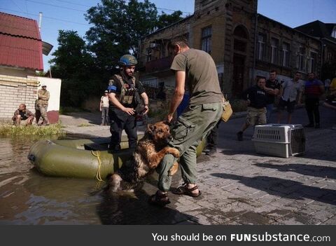 Ukrainian volunteers after rescuing a dog from flood waters after the Kakhovka Dam was