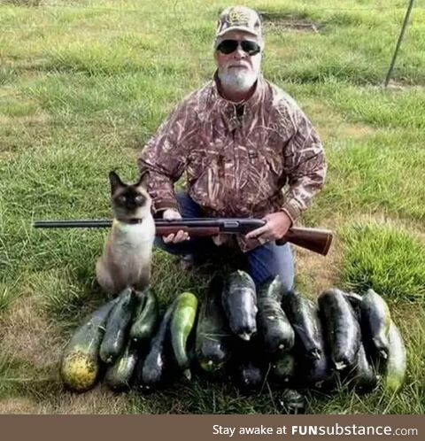 Vegan hunters be like ..