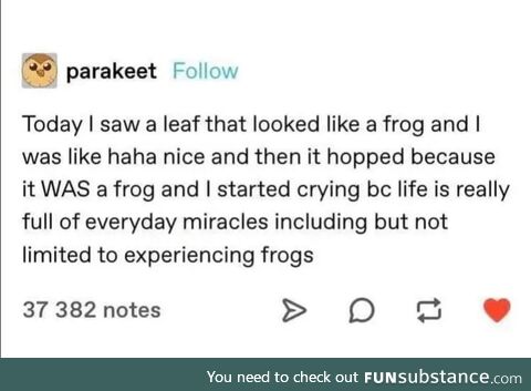 Froggo!