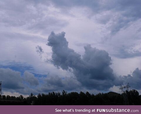 Look at this photo, the cloud really looks like a fox!