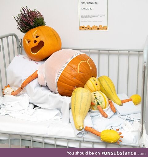 Carved pumpkins by Danish midwives at local hospital