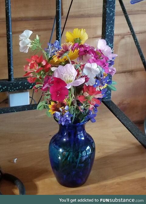 Drove all over Texas today enjoying the wildflowers. Decided to pick a few for my mom