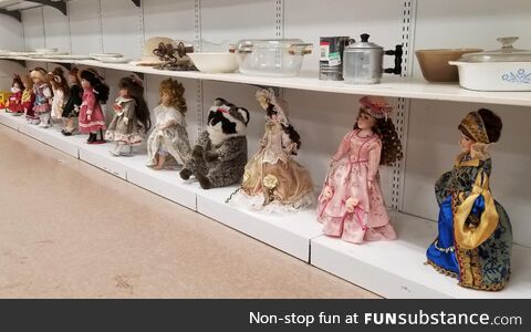 It has been 267 days and the dolls do not suspect, that I am in fact, a raccoon