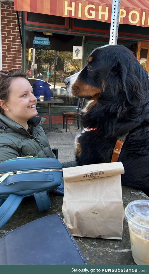 My very small best friend made friends with a very large dog