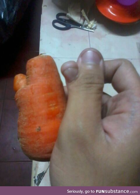 [OC] The Carrot my mom just bought at our Local Market shares the same shape as my