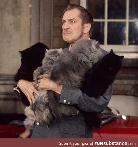Vincent Price with an armful of cats