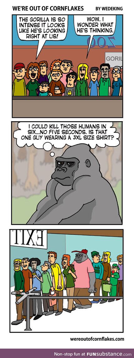 A gorilla at the zoo