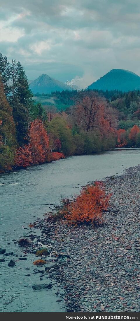 Stillaguamish River, Oso, WA right behind my house