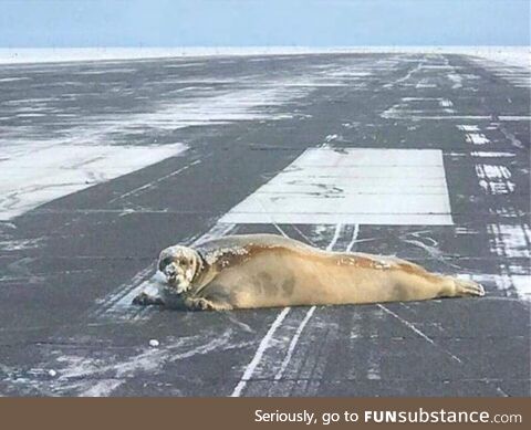 Alaskan flight delay