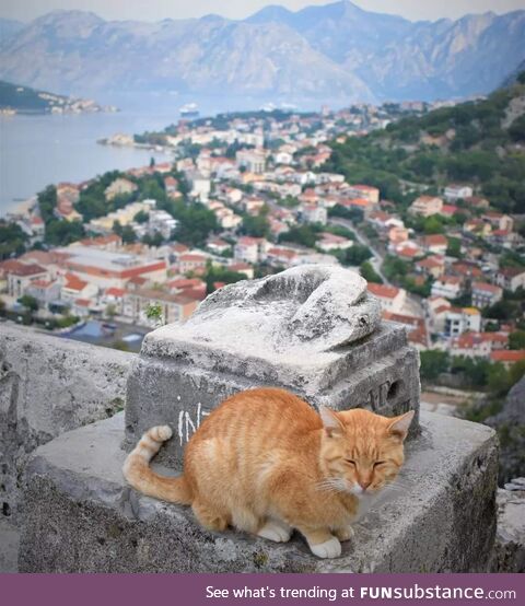 My brother took this picture in Montenegro