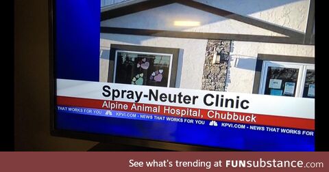 Don't forget to Spray them cats!