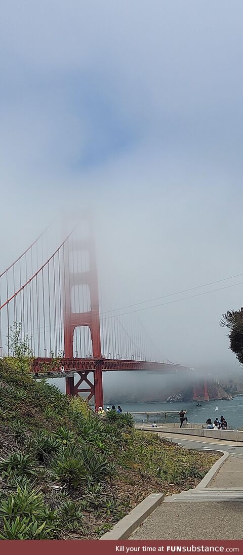Golden Gate in the fog