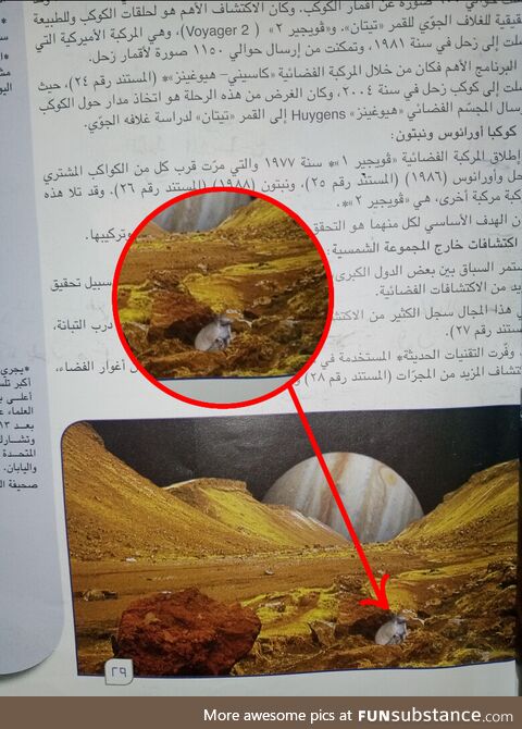 Geography Schoolbook has an Image ofJupiter's Moon's Surface, Containing an Armadillo??