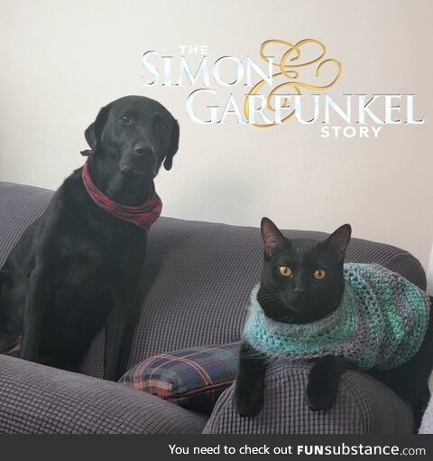 I thought this picture of my pets looked like an album cover so I made it one