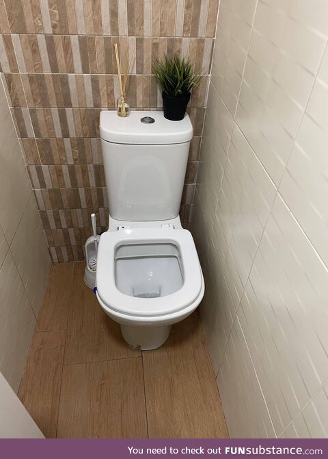 They call this the “side saddle” toilet
