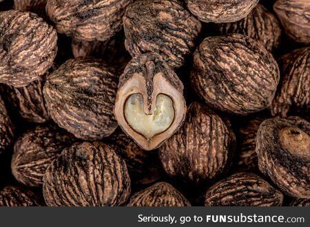 NNN '23 Day 24 - Black (Friday) Nuts